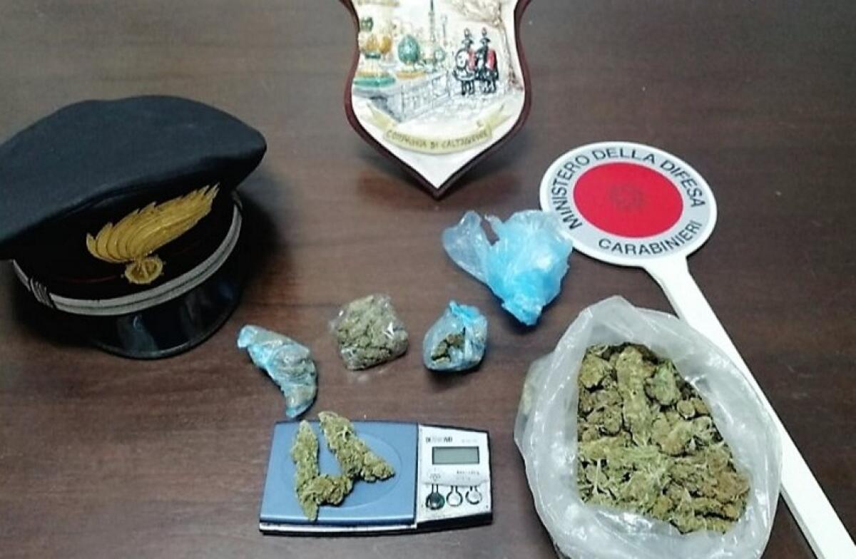 Grammichele: percettore del reddito di cittadinanza e spacciatore di marijuana - 