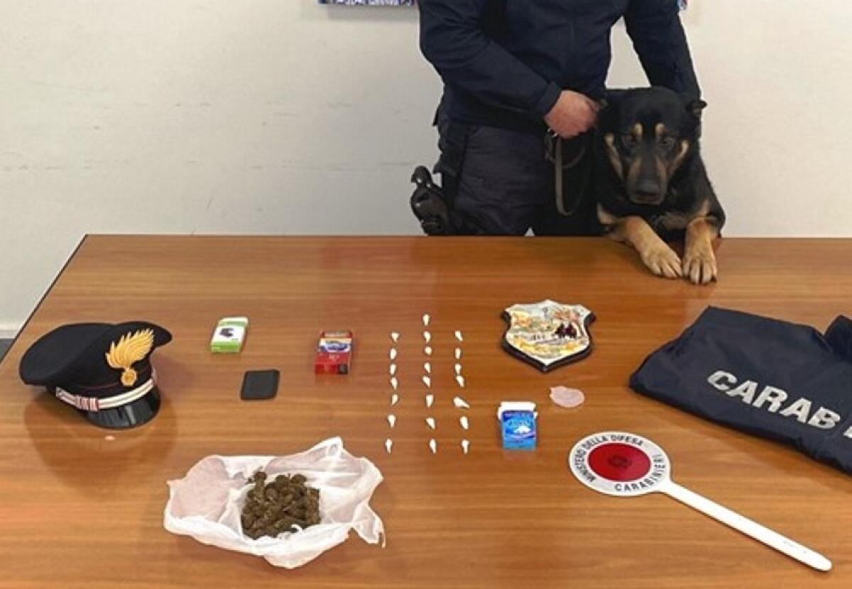 Caltagirone: arrestato dai Carabinieri un albanese per detenzione e spaccio di stupefacenti - 