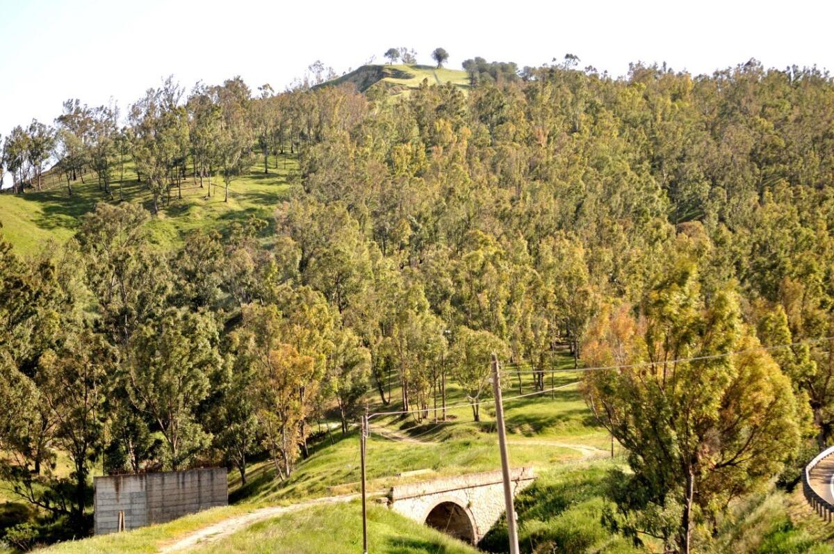 Caltagirone: parte l'operazione "valorizzazione Monte San Giorgio" - 