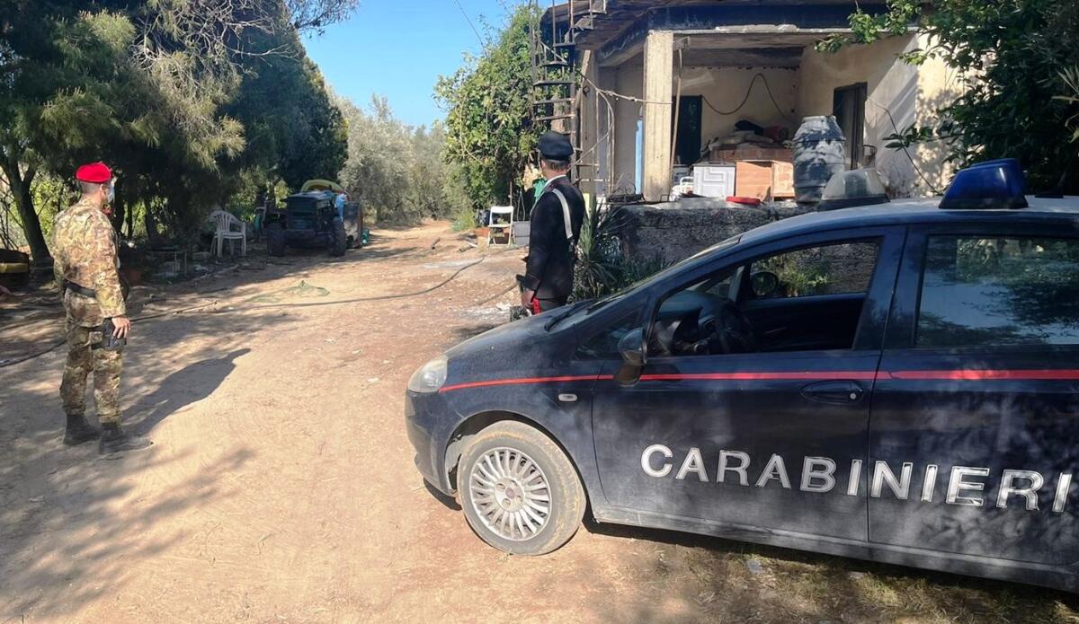 Caltagirone: furto di energia elettrica e spaccio di marijuana. I Carabinieri arrestano un 57enne - 