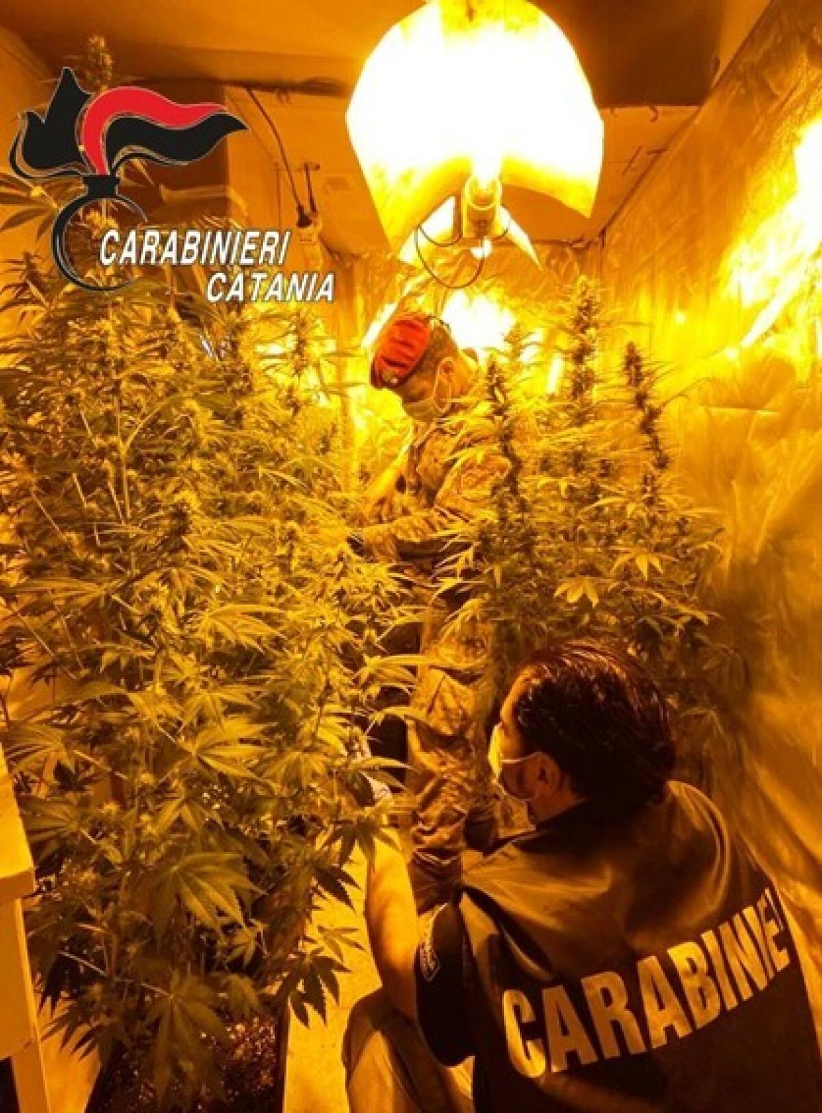 Castel di Iudica, antidroga: arrestati dai carabinieri due incensurati - 