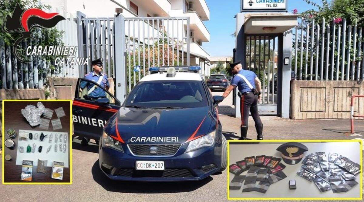 Vasta attività antidroga dei Carabinieri di Scordia e Ramacca - 