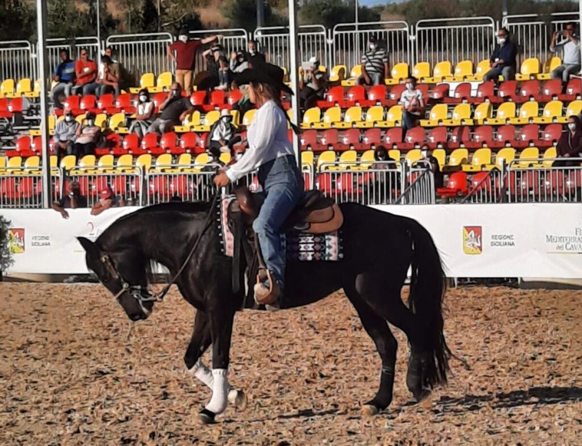 "Fiera Mediterranea del Cavallo", oggi il via ad Ambelia: ingresso gratuito - 