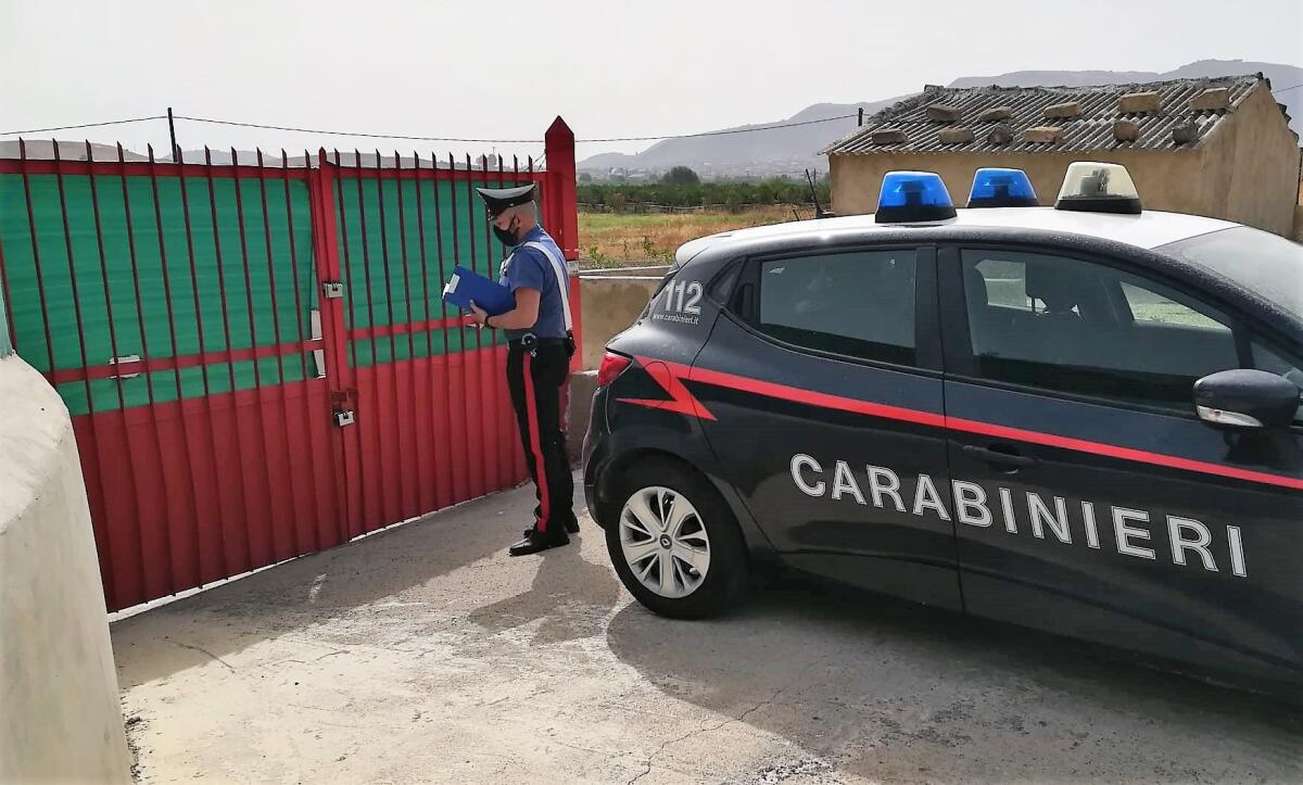 Palagonia: due uomini denunciati dai Carabinieri per invasione di terreni - 