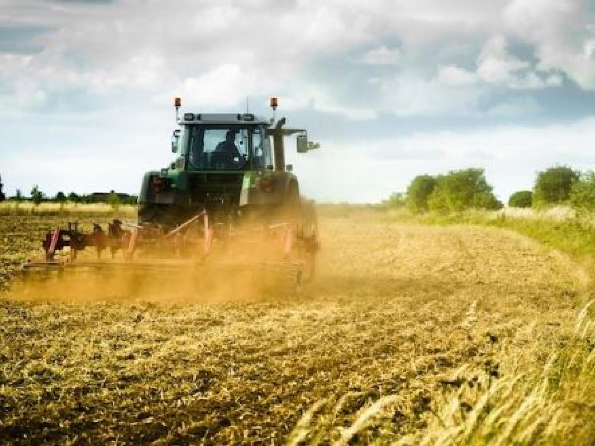 Censimento generale dell’agricoltura per valutare anche l’impatto del Covid 19 sulle aziende del comparto - 