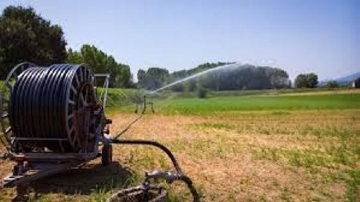 Interrogazione all'Ars dell'Onorevole Giuseppe Compagnone sulla crisi idrica nella Piana di Catania - 