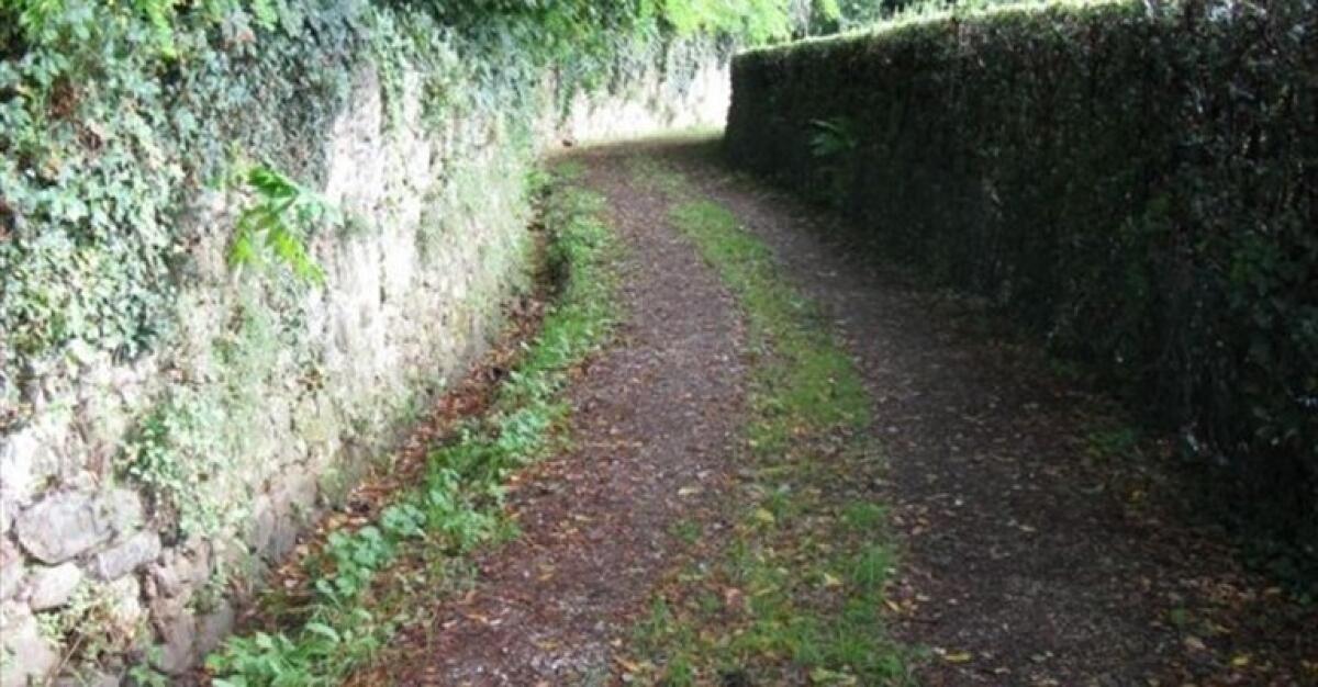 Caltagirone: ricognizione dell'Amministrazione comunale per le strade vicinali - 