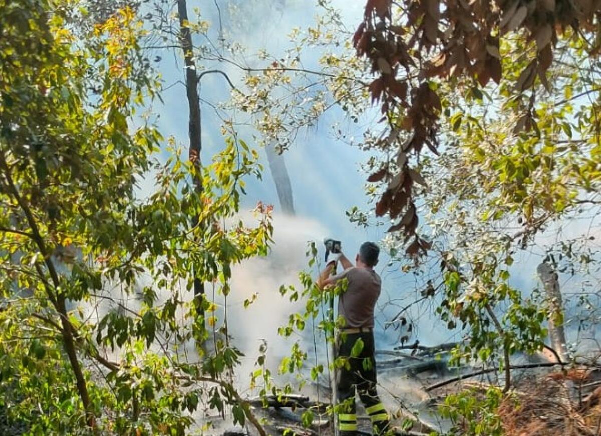 Caltagirone: a Villa Patti principio d'incendio domato dai Vigili del fuoco - 