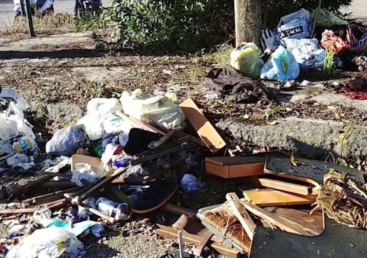 Domenica l'evento "Plastic Free" per ripulire il Bosco di Santo Pietro - 