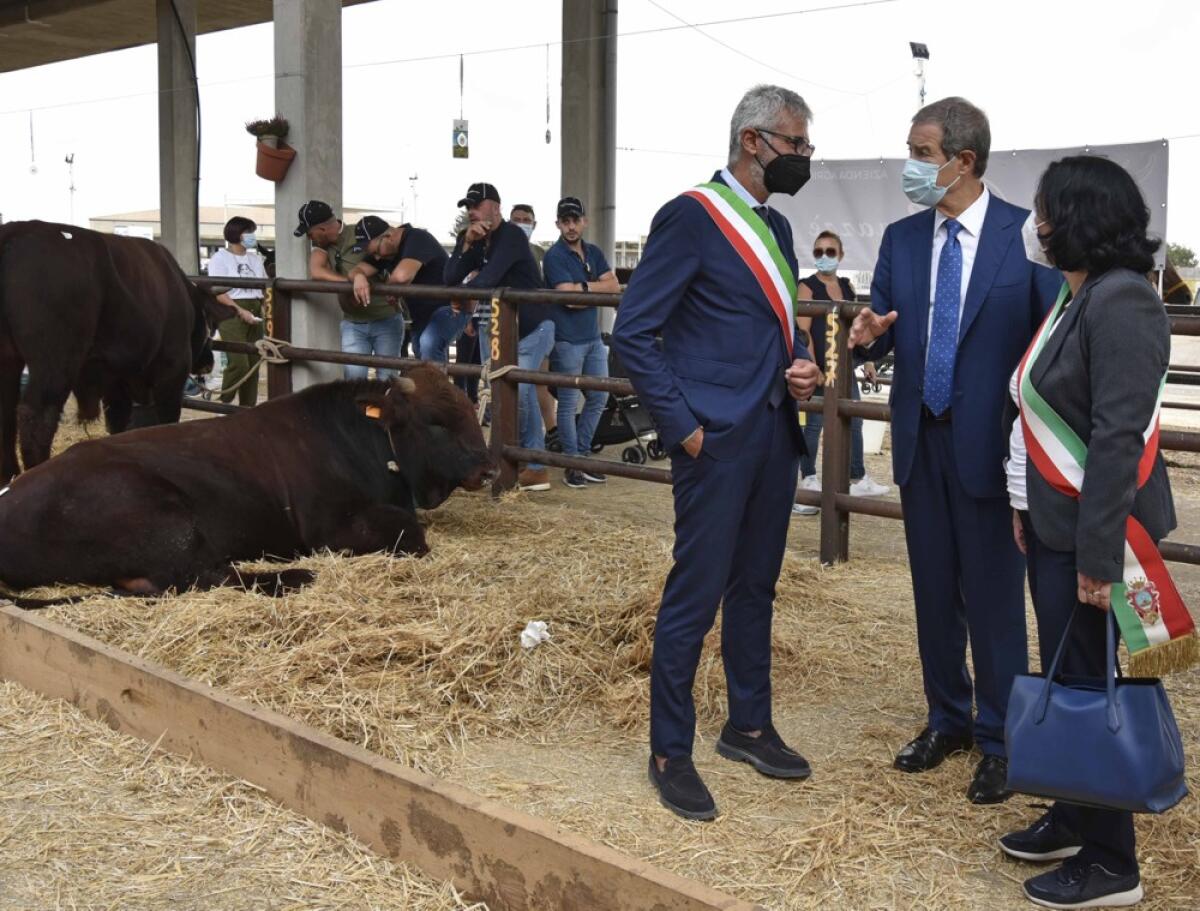 Bilancio positivo per la 46esima Fiera agroalimentare mediterranea - 