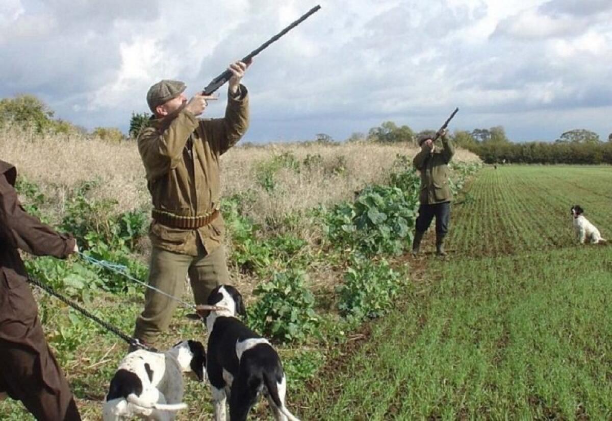 Stop alla stagione venatoria in Sicilia. Si riparte il 2 ottobre - 