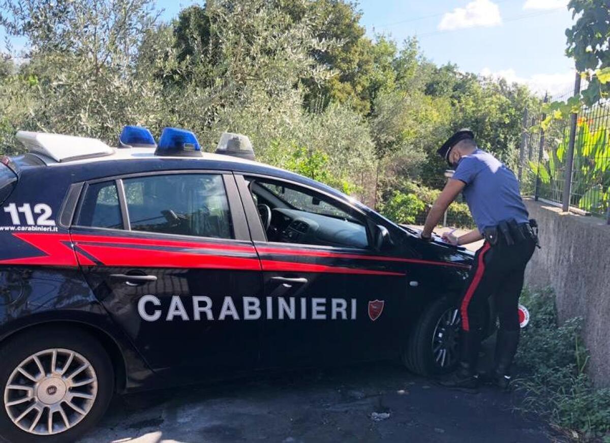 Caltagirone: un arrestato e due ricercati dai Carabinieri per il tentato furto in un'azienda agricola - 