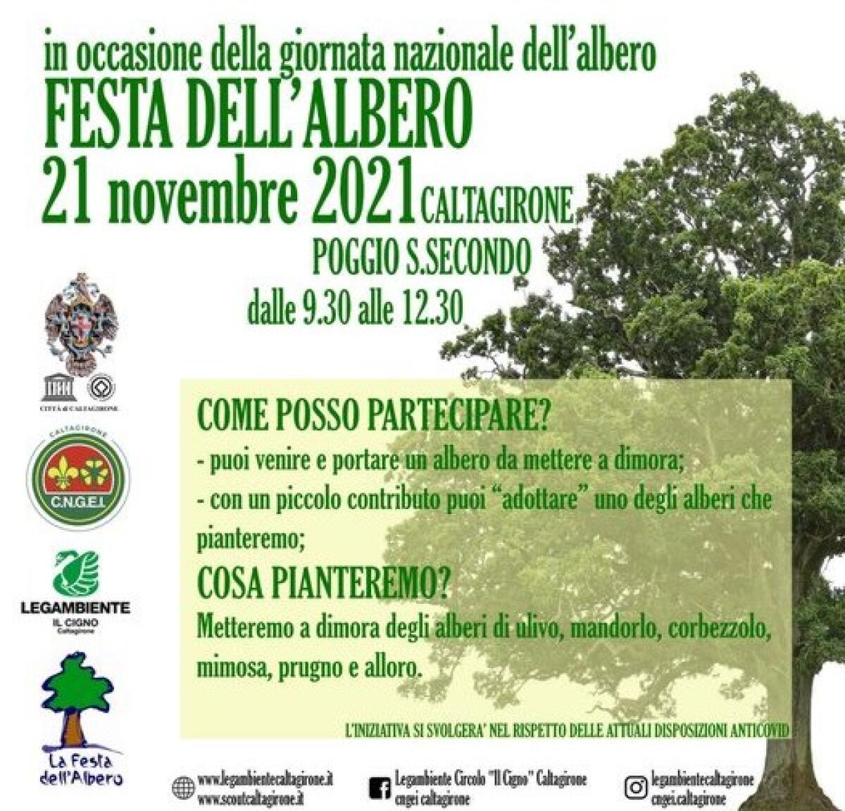 Caltagirone: domenica al Poggio San Secondo la "Festa dell'albero" - 