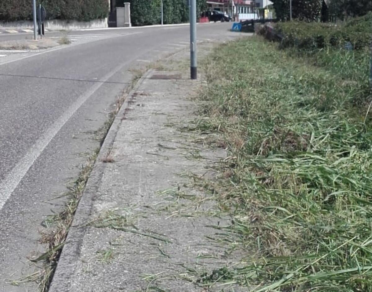 Caltagirone: ordinanza del sindaco Roccuzzo per la corretta manutenzione della vegetazione  lungo le strade, le ferrovie e i percorsi pedonali pubblici - 