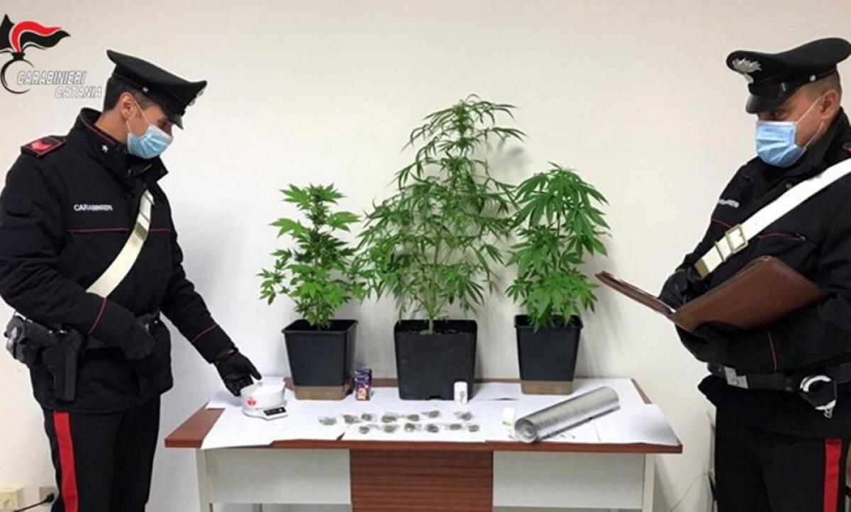 Vizzini: detenzione di sostanze stupefacenti ai fini di spaccio, 51enne arrestato dai Carabinieri - 
