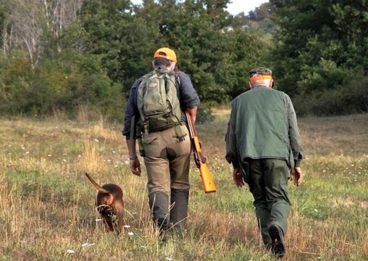 Il Tar conferma il calendario venatorio in Sicilia ad eccezione della tortora selvatica - 