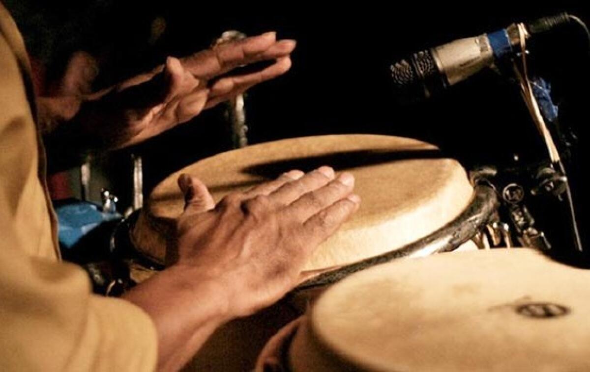 Caltagirone: incarico di docenza per l’insegnamento di strumenti a percussione all'Istituto musicale "Pietro Vinci" - 