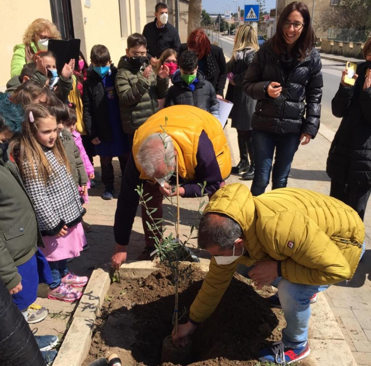 Granieri: messo a dimora un albero di ulivo, simbolo di pace e unione tra i popoli - 