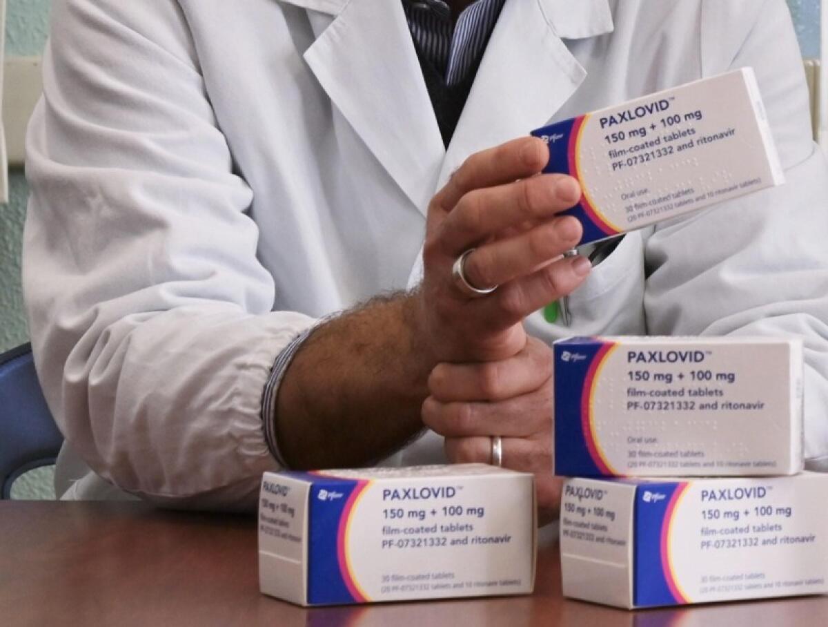 Covid: anche nelle farmacie siciliane il Paxlovid, la pillola gratuita per il trattamento precoce - 