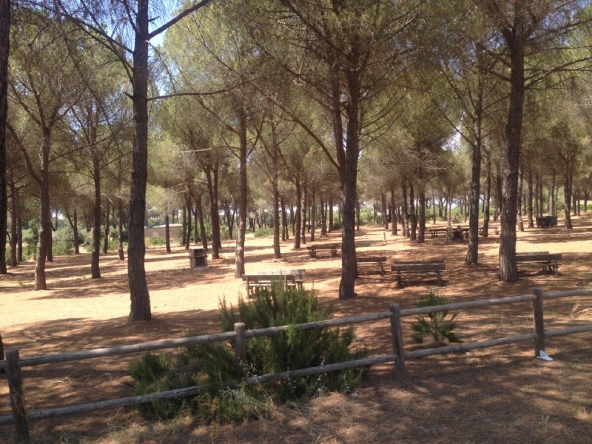 Caltagirone: venerdì 8 e sabato 9 a Santo Pietro, “BOSCO COLTO Lab”, Laboratorio di Progettazione Architettonica e Urbana - 