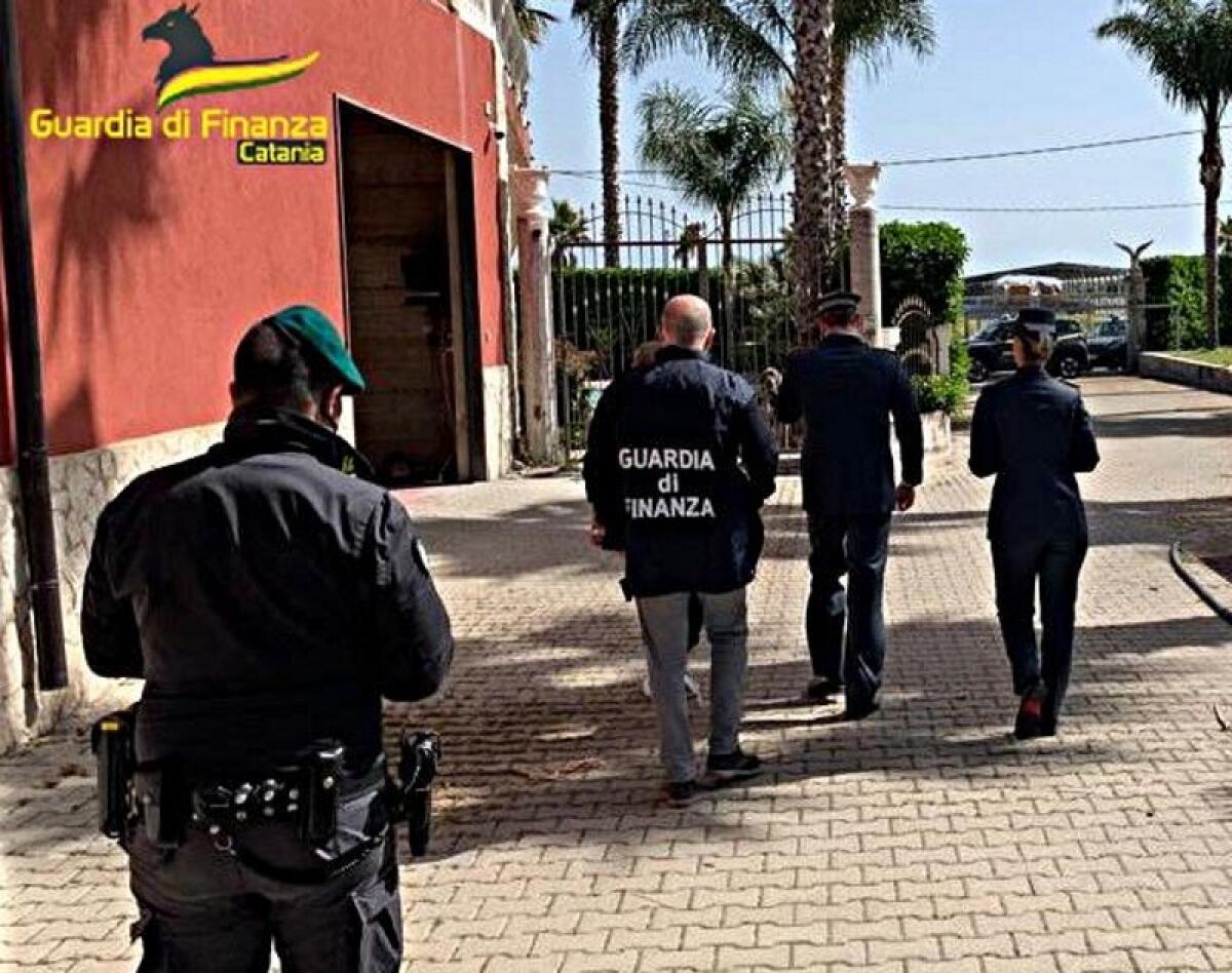 Palagonia: evasione fiscale per milioni di euro di un imprenditore nel settore dell'importazione e rivendita di carne - 