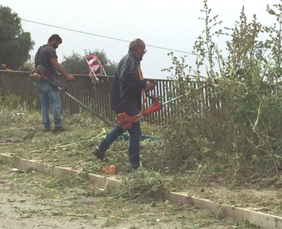 Caltagirone: scerbatura, nella frazione di Granieri e servizio di disinfestazione in città - 