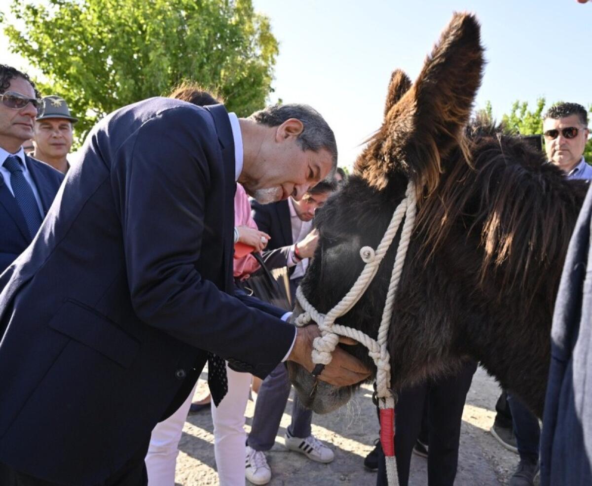 Militello: sino a domenica 22 maggio, ad Ambelia, la quarta "Fiera mediterranea del cavallo" - 