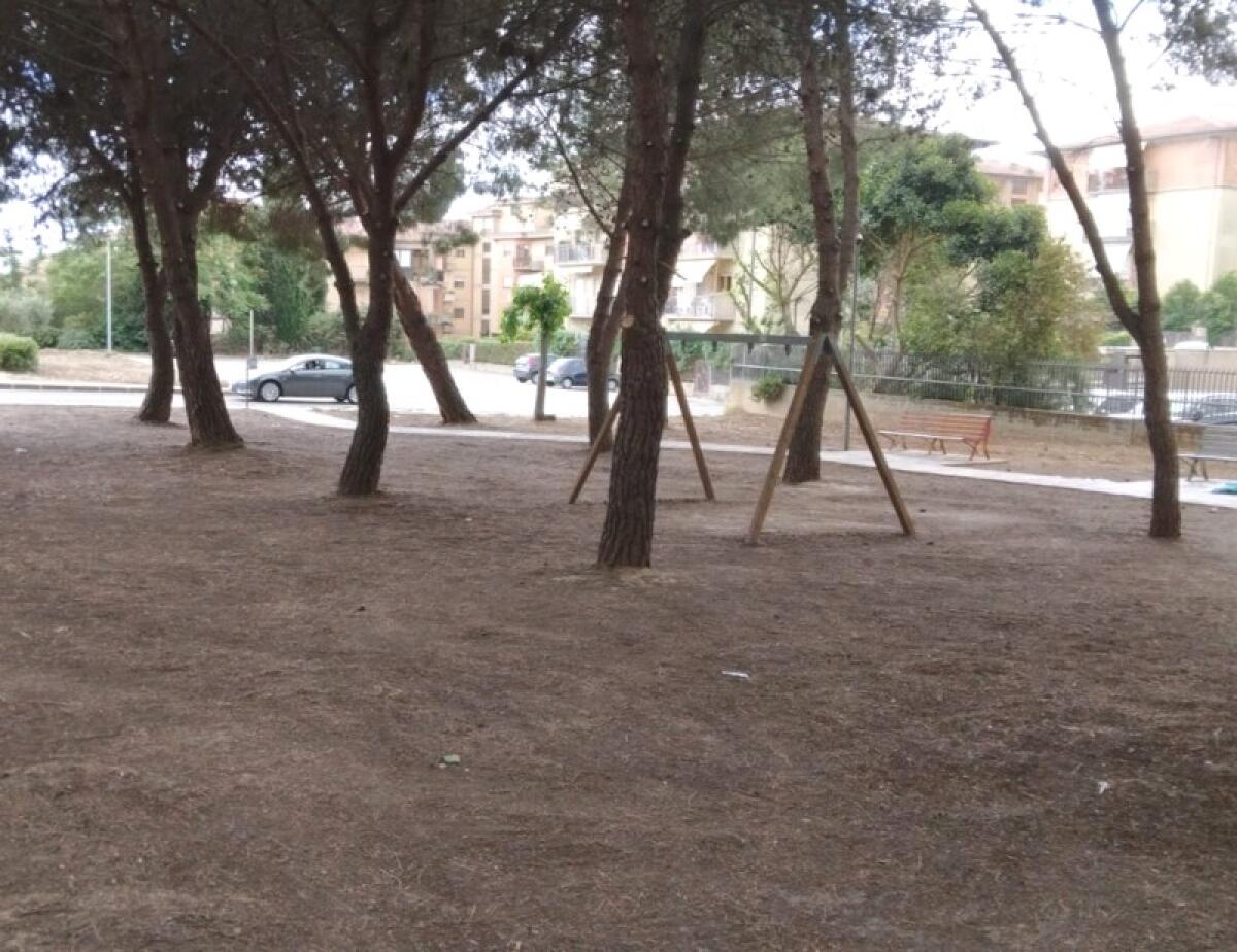 Caltagirone: l’area verde di via Pietro Novelli si chiamerà "Parco David Maria Sassoli" - 