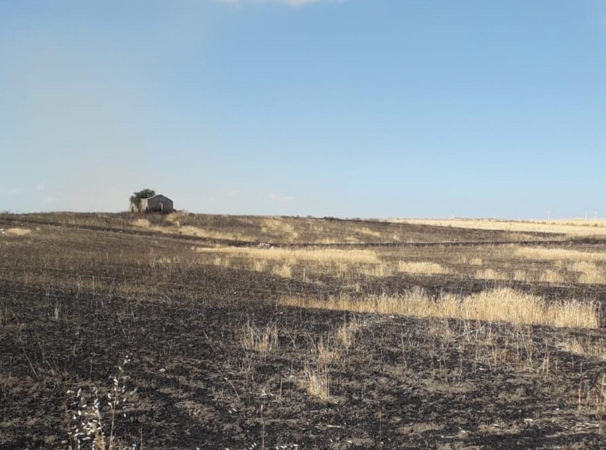 Grammichele: istituzioni assenti all'incontro promosso per fronteggiare l'emergenza incendi - 