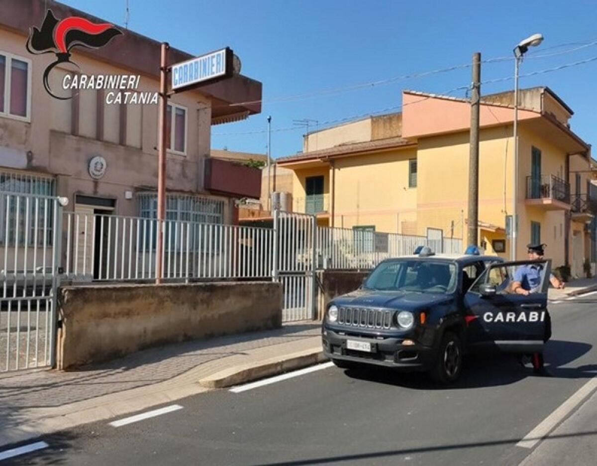 Granieri: 600 kg di uva rubata, i Carabinieri denunciano un 30enne di Catania - 