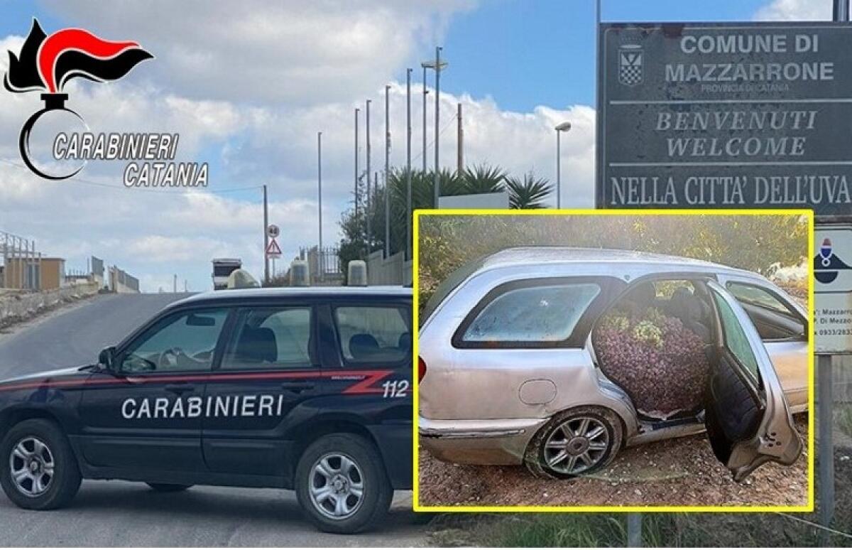 Mazzarrone: sventato dai Carabinieri un furto di un ingente quantitativo d’uva - 