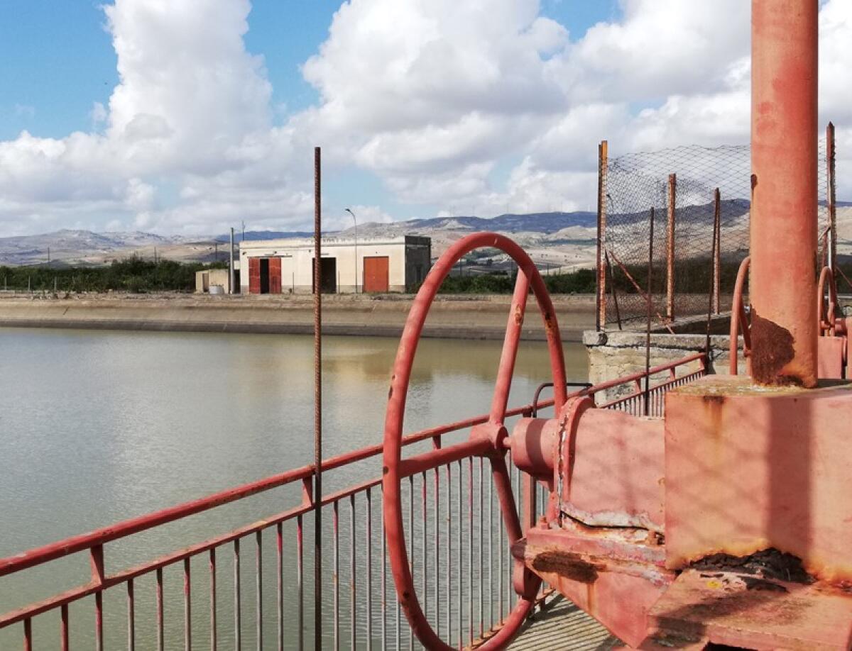 Caltagirone, Consorzio di Bonifica: domande per aiuti agli agricoltori entro il 30 settembre - 