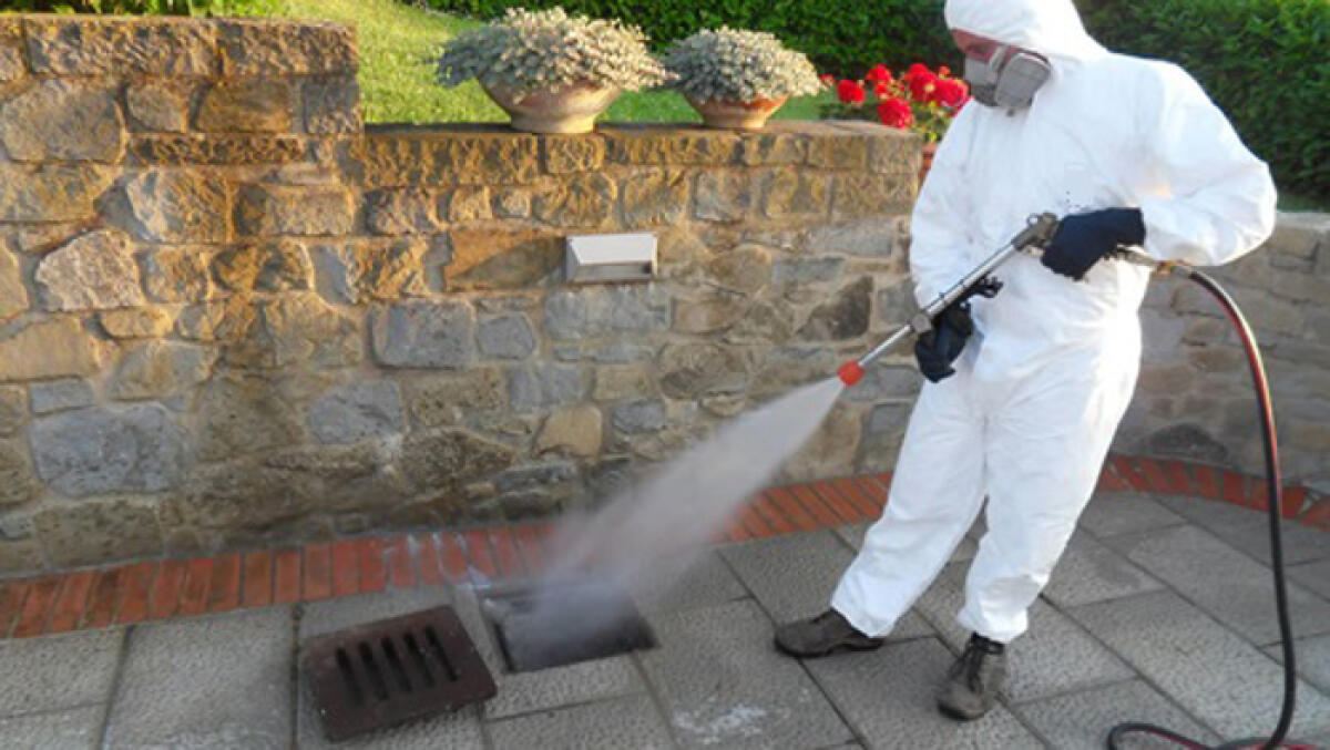 Caltagirone, disinfestazione "adulticida" da martedì in centro e nei quartieri - 