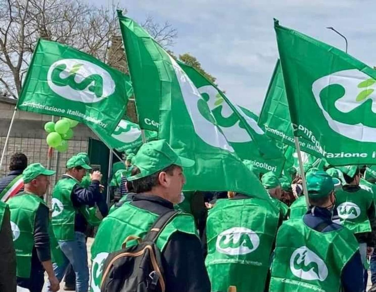 Caltagirone: “2023-2027 –I 9 obiettivi della Pac – Conoscenza e innovazione”, il convegno della Cia al municipio - 