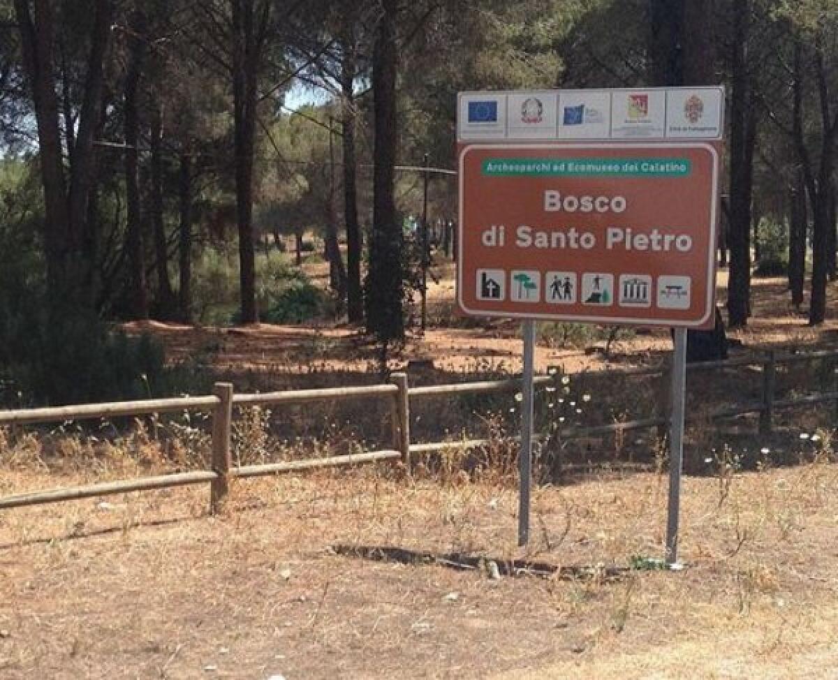 Caltagirone: venerdì 18 novembre la Giornata nazionale degli alberi e della Festa della macchia mediterranea - 