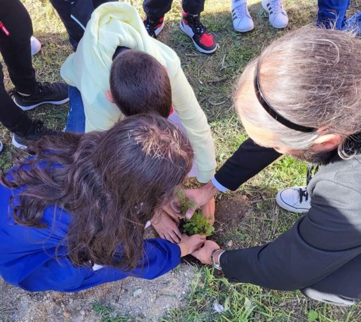 Vizzini: la Giornata dell'Albero con il coinvolgimento dei ragazzi delle scuole - 