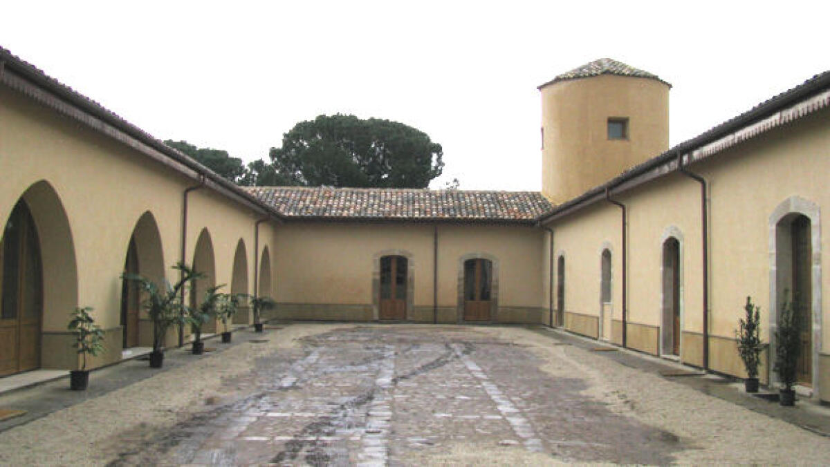 Caltagirone: giovedì 22 dicembre il convegno "Grani Antichi siciliani e Oli di Sicilia: elementi determinanti nella dieta mediterranea" - 