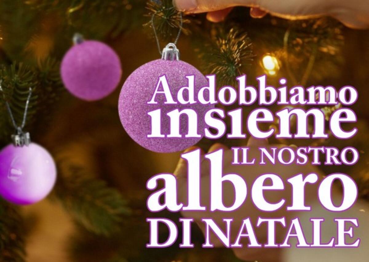 Vizzini: un albero comunitario in piazza Umberto I - 