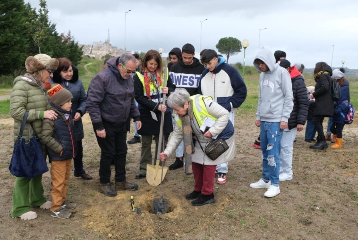 Caltagirone: "Il Giardino della Collina", al Poggio Fanales piantumati 25 alberi - 