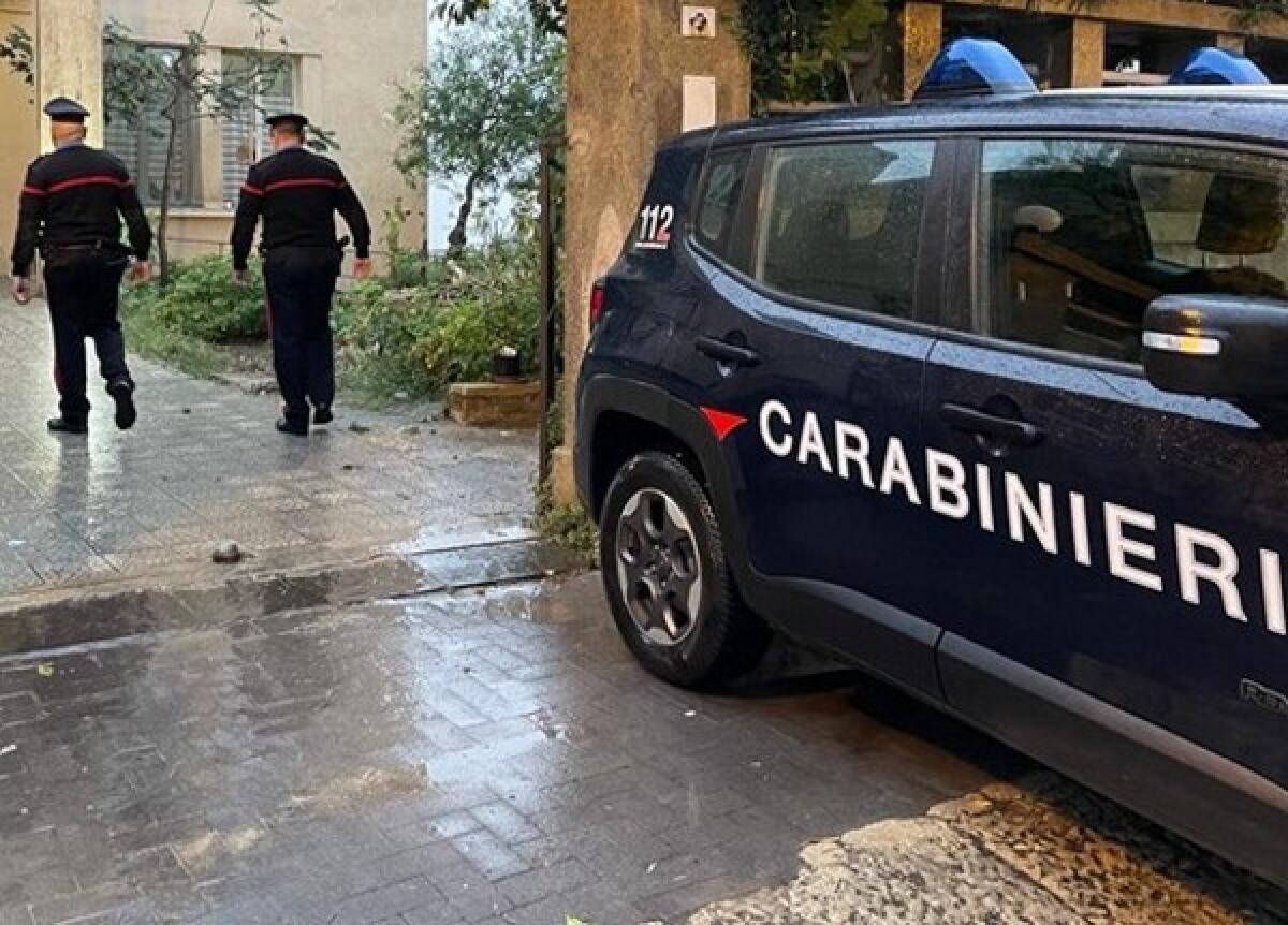 Licodia Eubea: i Carabinieri salvano una cavalla e una puledra all'interno dell'area archeologica - 