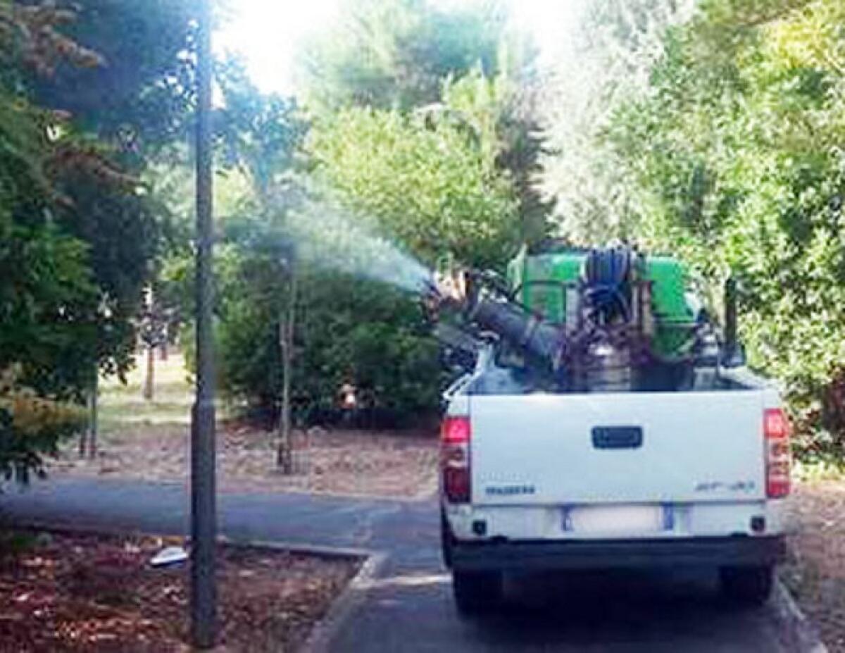 Caltagirone: servizio di disinfestazione oggi 2, domani 3 maggio e giovedì 11 maggio - 