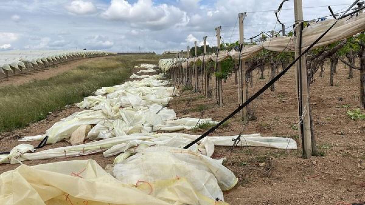 Caltagirone: danni dal maltempo dei giorni scorsi, chiesta da Confcommercio la dichiarazione di calamità naturale - 