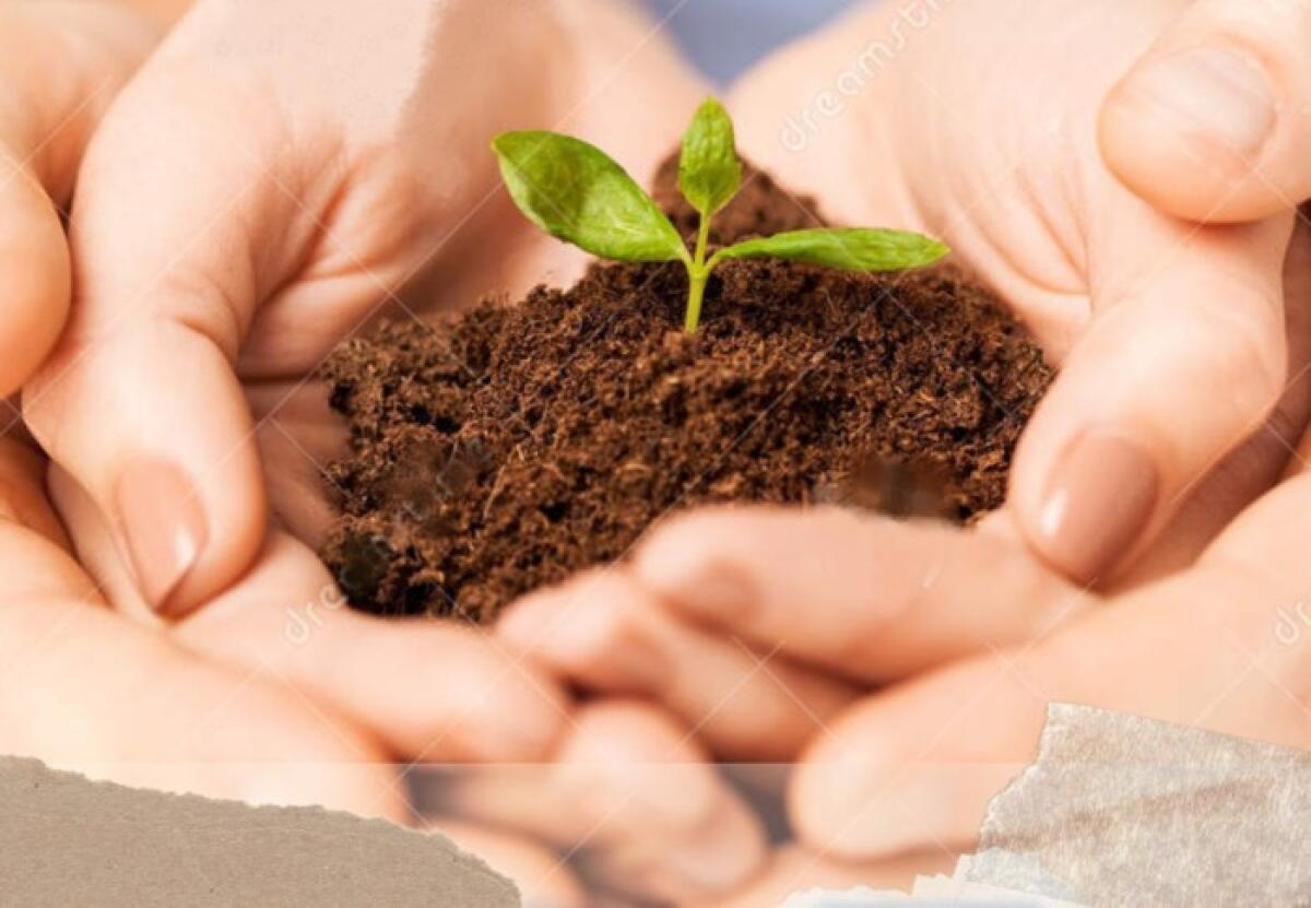 Caltagirone: da mercoledì 17 maggio il meeting del Terzo settore “Welfare umano: adolescenti oggi, giovani speranze domani” - 