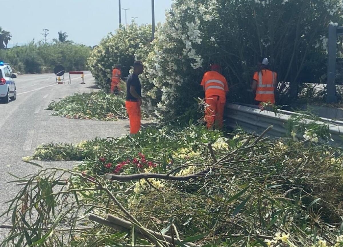 Viabilità: chiuse le due carreggiate dell'Asse Attrezzato di Catania per messa in sicurezza, ripulitura e scerbamento - 