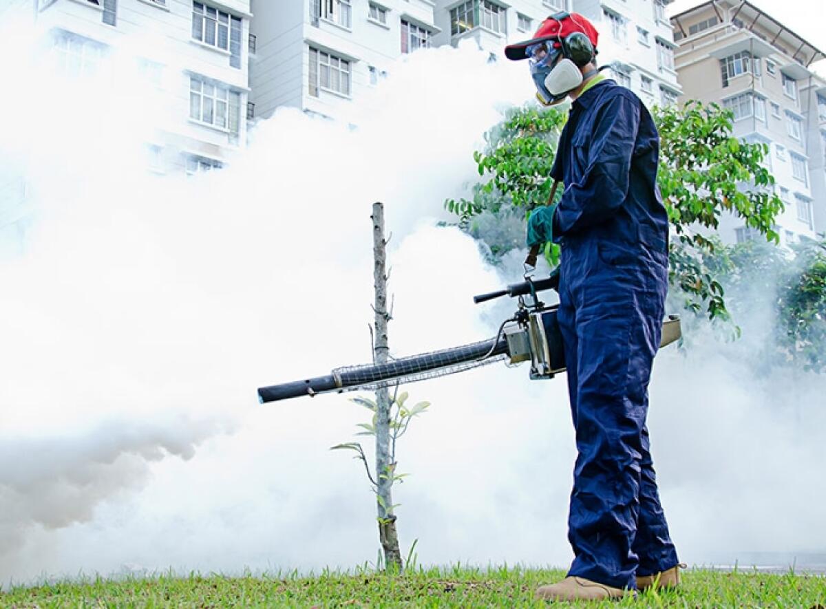 Caltagirone: servizio di disinfestazione in città il 4, 5, 6, luglio, nelle frazioni il 13 e 14 luglio - 