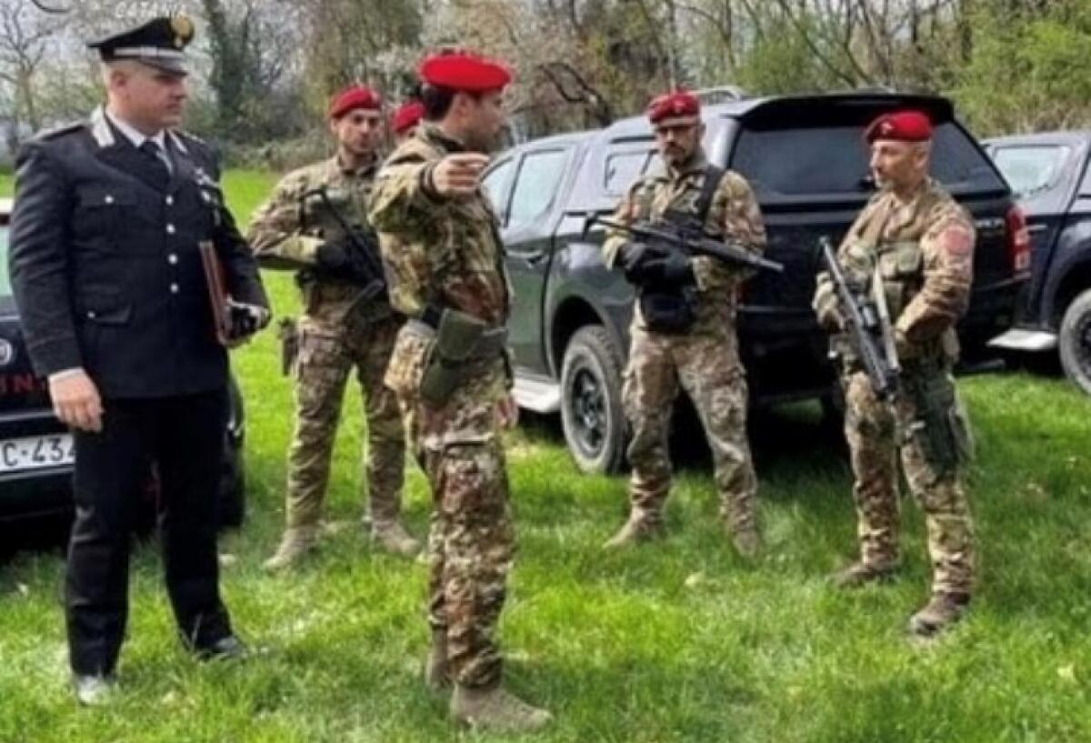 Ramacca: individuate 42 piante di marijuana, i Carabinieri arrestano due ramacchesi di 36 e 28 anni - 