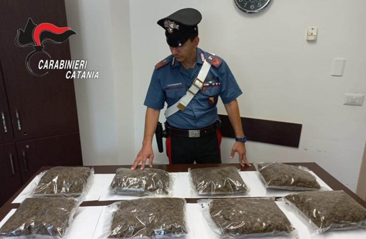 Scordia: i Carabinieri arrestano 55enne catanese con circa 4 kg di droga - 