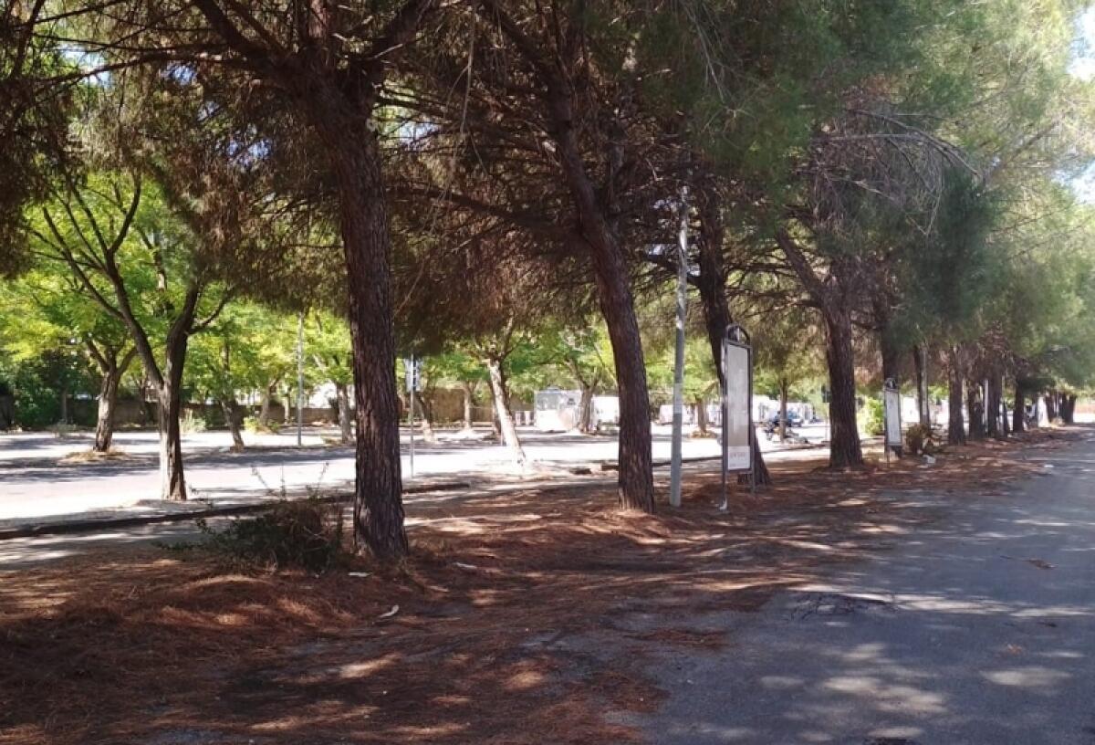 Caltagirone: ordinanza di sgombero delle aree occupate arbitrariamente nelle vie Peppino Alì, Tenente Cataldo e Circonvallazione di ponente - 