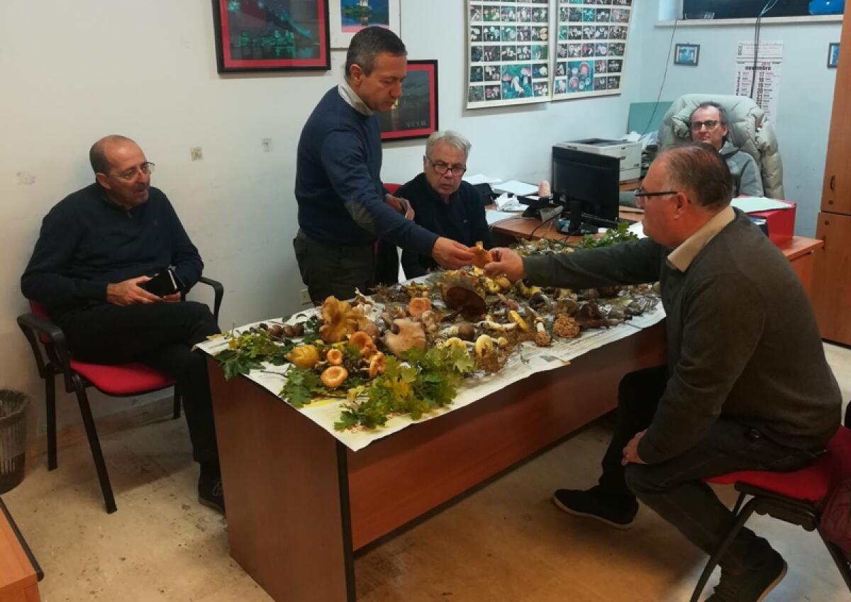 La settimana di aggiornamento continuo dei micologi aziendali, dal 23 al 27 ottobre a Canneto di Caronia - 