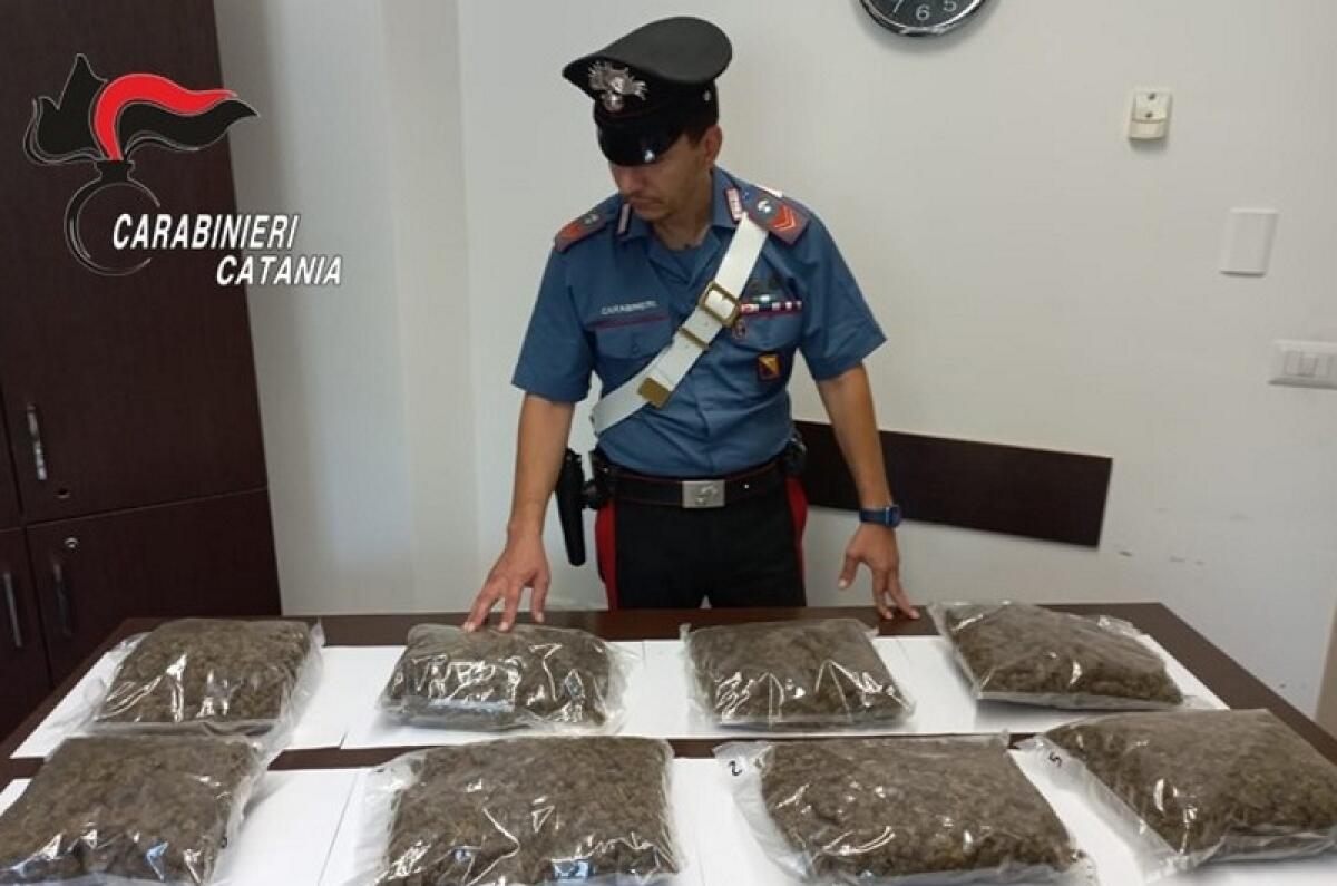 Scordia: 55enne arrestato dai Carabinieri con quasi 4 kg di droga - 